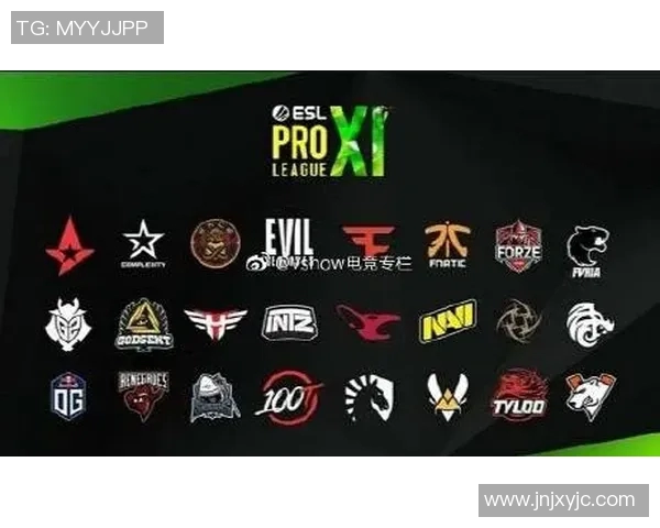 电竞数据助力王丽畅谈CSGO职业生涯与成长历程